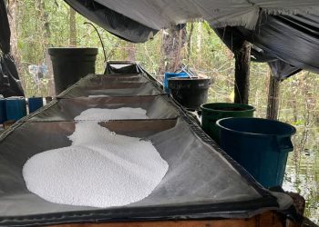 Socios de Seuxis Pausias Hernández Solarte, alias Jesús Santrich, excabecilla de las Farc fueron sentenciados por narcotráfico en Estados Unidos