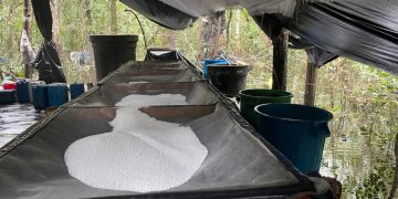 Socios de Seuxis Pausias Hernández Solarte, alias Jesús Santrich, excabecilla de las Farc fueron sentenciados por narcotráfico en Estados Unidos