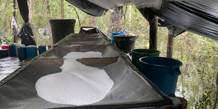 Socios de Seuxis Pausias Hernández Solarte, alias Jesús Santrich, excabecilla de las Farc fueron sentenciados por narcotráfico en Estados Unidos