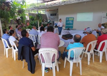 En Huila fomentan el trabajo asociativo orientado a la producción forrajera sostenible