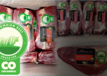 Colombia debe aprovechar y responder a las oportunidades de la carne en el comercio exterior