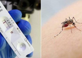 Hay más de 2.400 casos de dengue en el país
