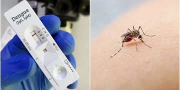 Hay más de 2.400 casos de dengue en el país