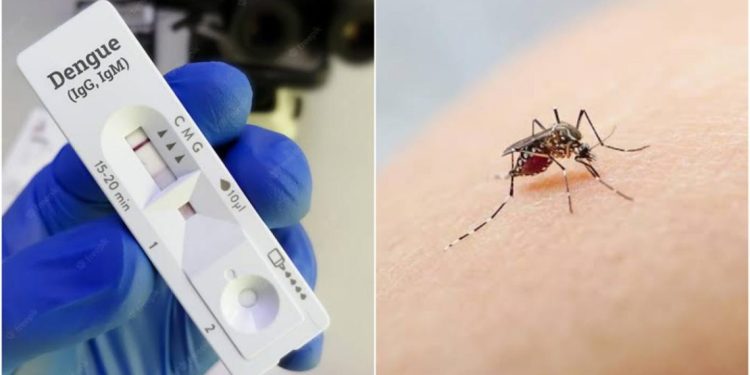Hay más de 2.400 casos de dengue en el país