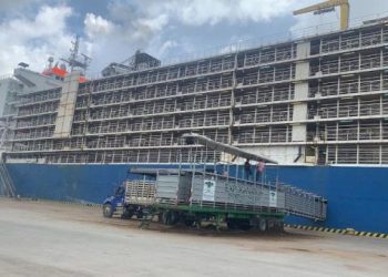 ¡Lo último! China reabrió importaciones de carne a Brasil y, eso, reactivó comercio de ganado en pie