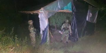 Incautada cerca de una tonelada de marihuana en operación de las Fuerzas Militares