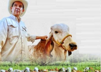 FEDEGÁN 60 – 30: ¡Cumplimos!