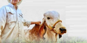 FEDEGÁN 60 – 30: ¡Cumplimos!