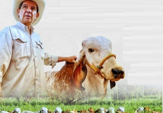 FEDEGÁN 60 – 30: ¡Cumplimos!