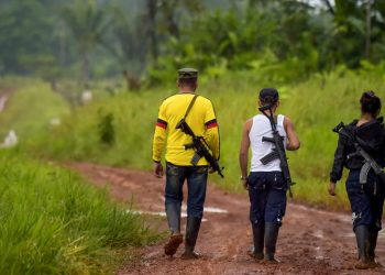 Millones de colombianos están indefensos ante la arremetida violenta de grupos guerrilleros y bandas criminales. ¿Qué piensa hacer el Gobierno nacional?