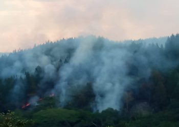 ¡Vuelve y juega! Indígenas prendieron fuego a reserva natural en Cauca