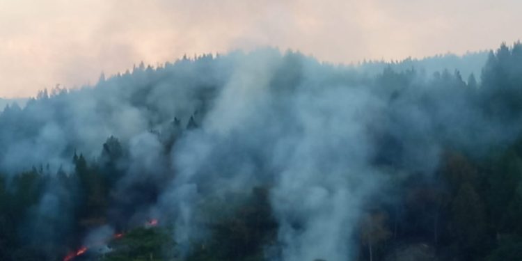 ¡Vuelve y juega! Indígenas prendieron fuego a reserva natural en Cauca